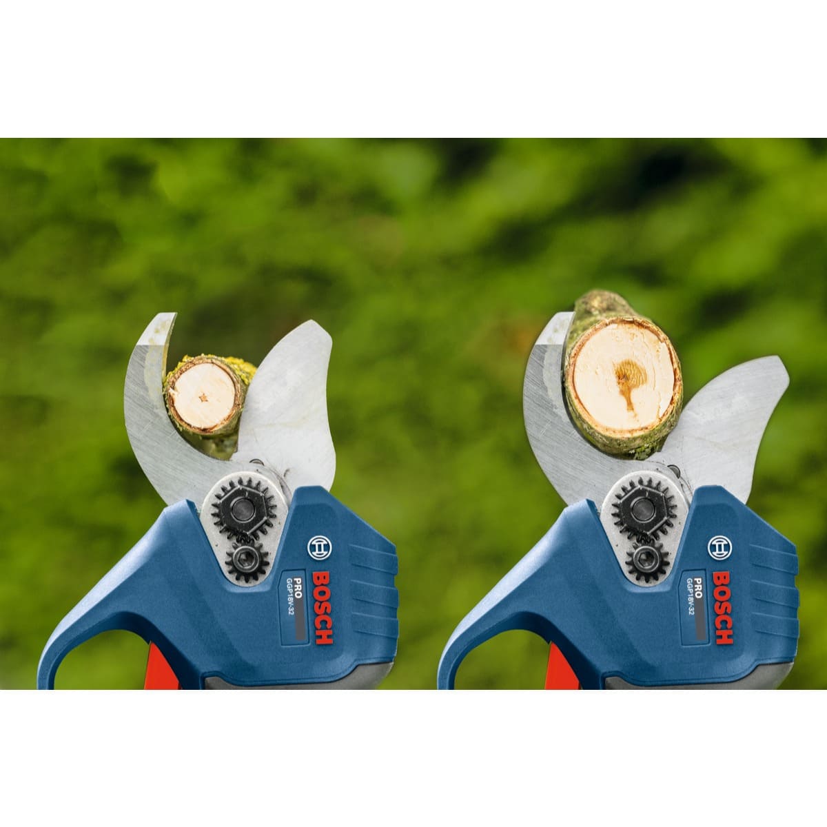 Bosch Akku Astschere PRO GGP18V-32 - 18V - Brushless - 32 mm - AMPShare - Solo