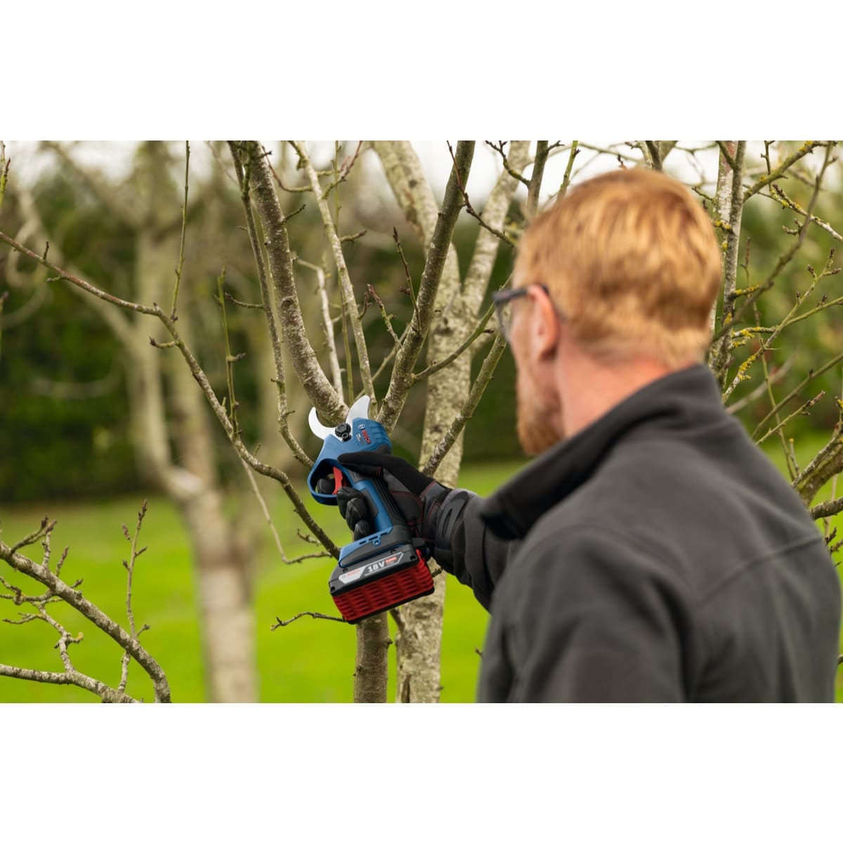 Bosch Akku Astschere PRO GGP18V-32 - 18V - Brushless - 32 mm - AMPShare - Solo