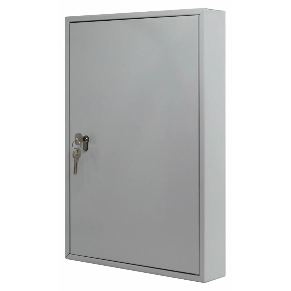 Burg Wächter Schlüsselschrank - Schlüsselkasten 6850/100 PZ - 100 Haken