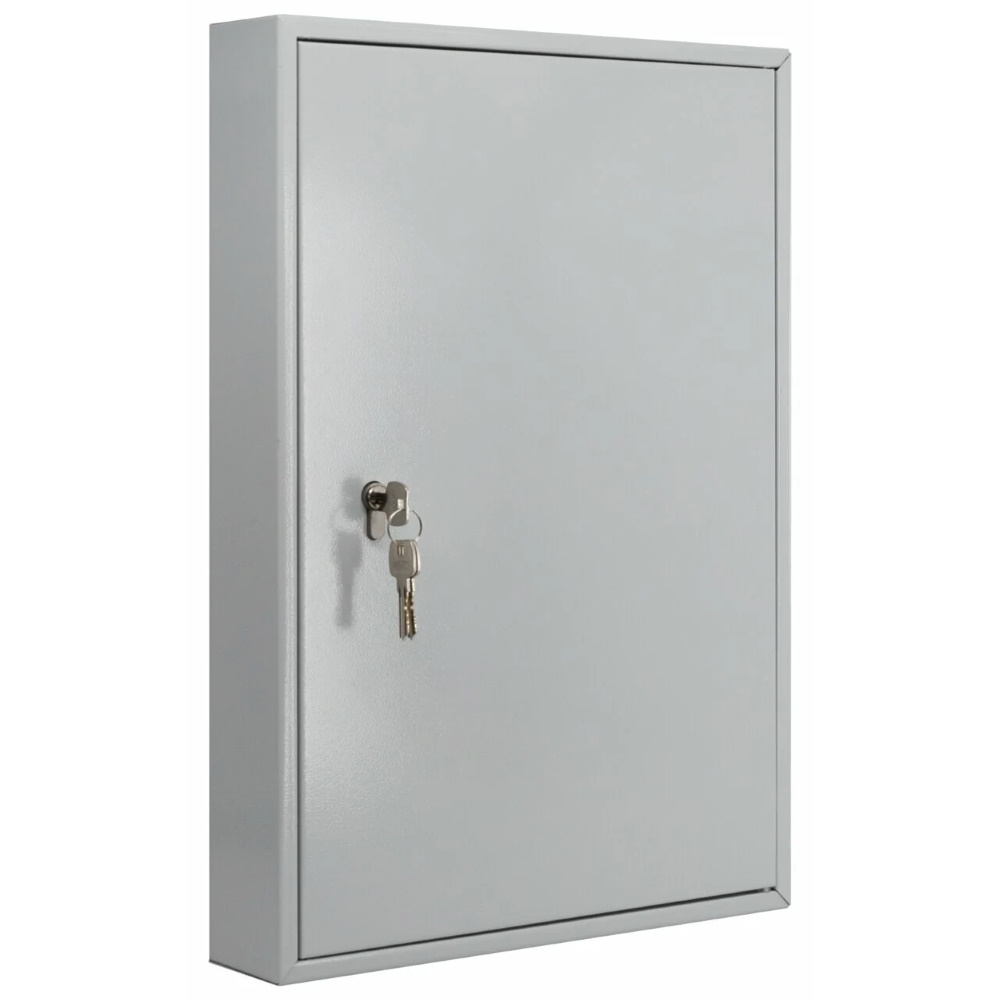 Burg Wächter Schlüsselschrank - Schlüsselkasten 6850/100 PZ - 100 Haken