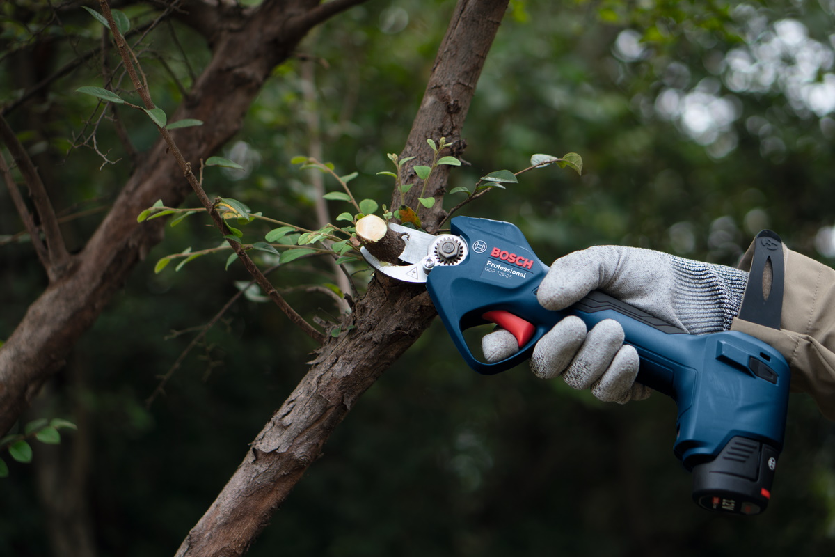 Bosch Akkuschere Gartenschere GGP 12V-25 - 12V - Sologerät ohne Akku/Ladegerät