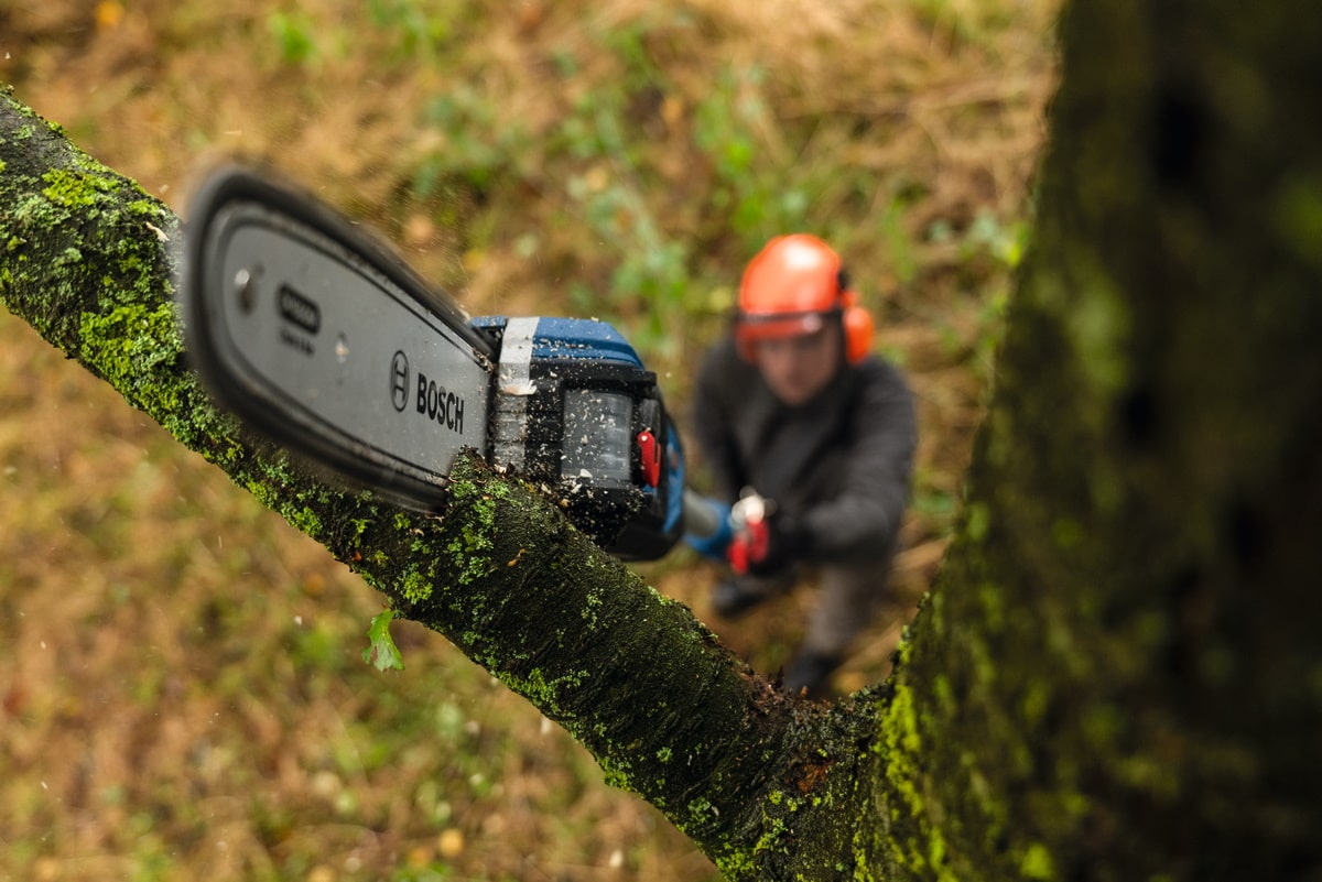 Bosch Hochentaster Kettensäge Akku - GKE 18V-25 TP - Teleskopstange - Sologerät