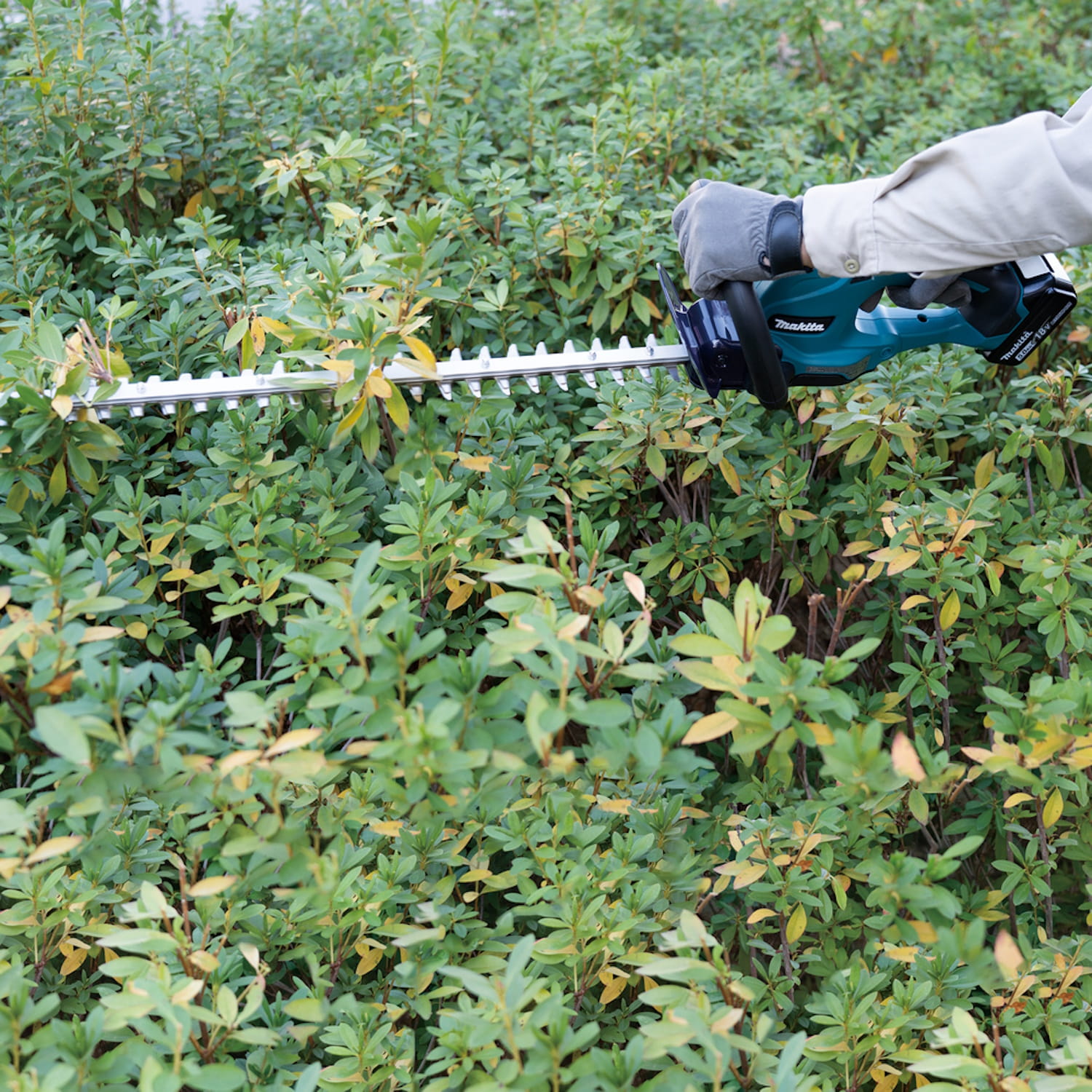 Makita Akku Heckenschere DUH507Z - 18V - 50cm - ohne Akku/Ladegerät - Solo