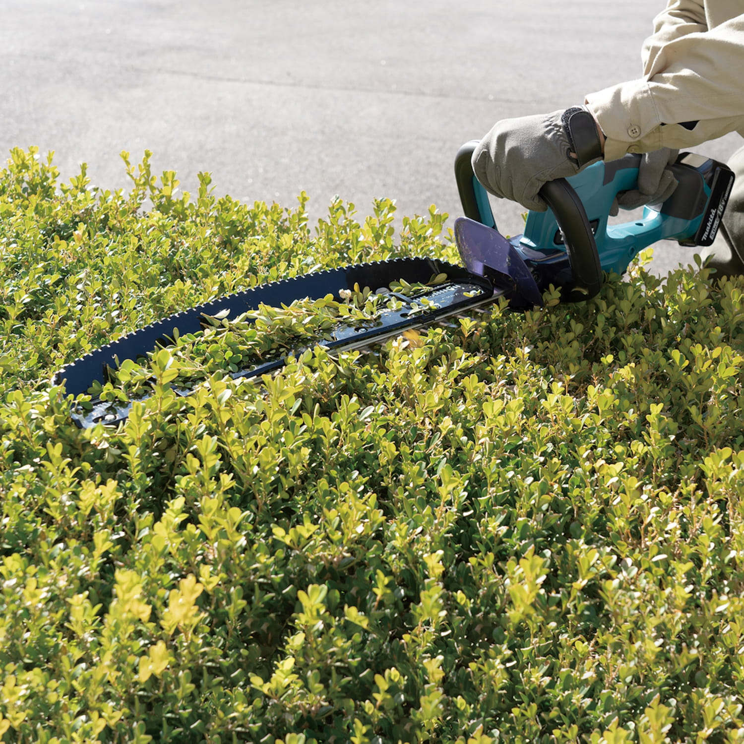 Makita Akku Heckenschere DUH507Z - 18V - 50cm - ohne Akku/Ladegerät - Solo